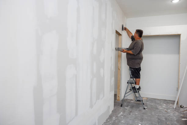 Best Mold Removal for HVAC Installations  in Plummer, ID